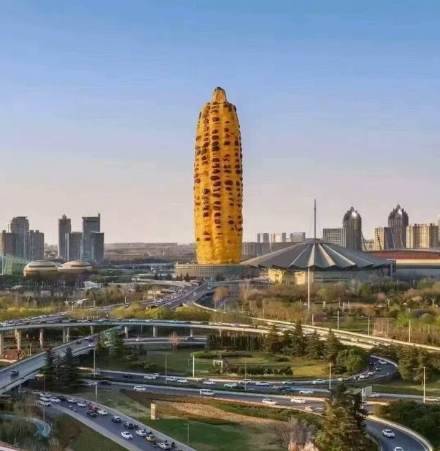 小白瓜